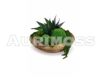 Machová miska s kopcovitým, plochým machom a amarantom – Zelený ostrov