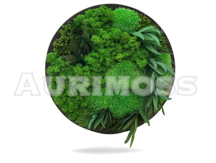 Machový kruhový obrázok – mix machov a rastlín – Selénia