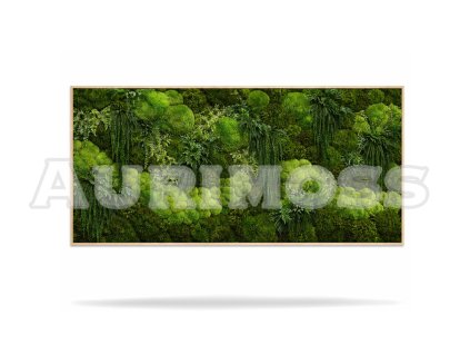 Machový hranatý obraz s mixom machov – Smaragdová oáza