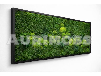 Machový prémiový eko obraz Aurimoss - Šepot machu bokom 1