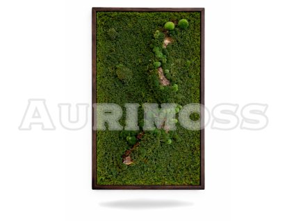 Machový obraz Aurimoss – Machová cesta (s kôrou a rôznymi druhmi machu)