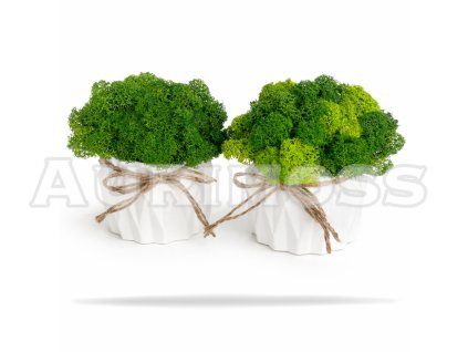 Sadrová váza s lišajníkom