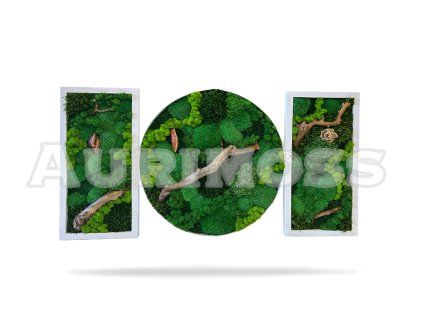 Set machových obrazov – Ozveny machu