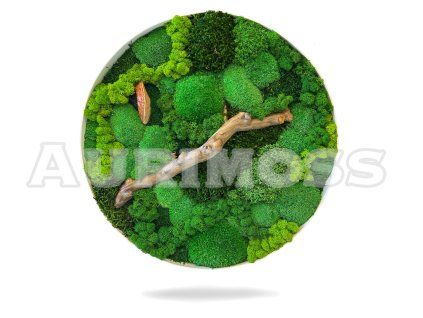 Kruhový machový obraz Ozveny machu