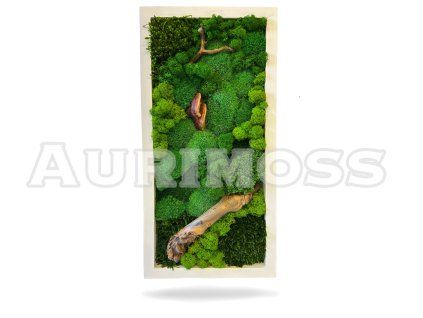 Hranatý machový obraz Ozveny machu