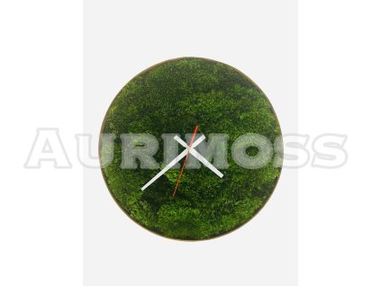 Nástenné hodiny so sibírskym machom