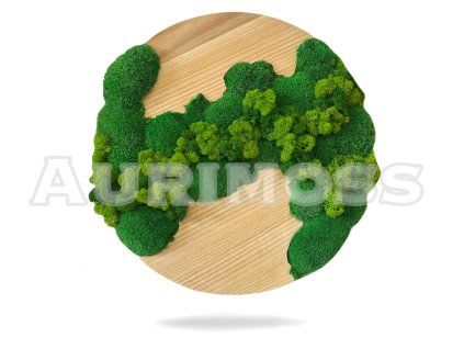 Machovy kruhovy obraz - Ticho lesa variant1