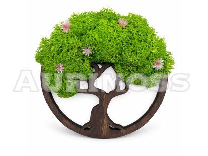 Machový magnet s lišajníkom – Stromček