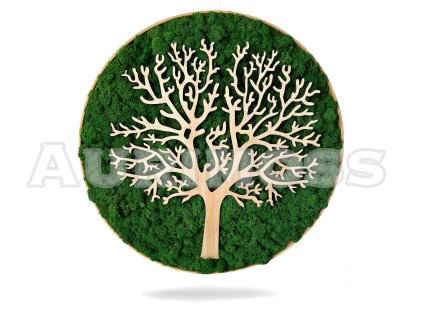 Obraz drzewa z mchu w ramie