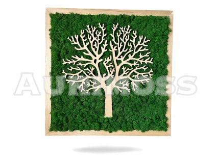 Moosbaum-Bild im quadratischen Rahmen