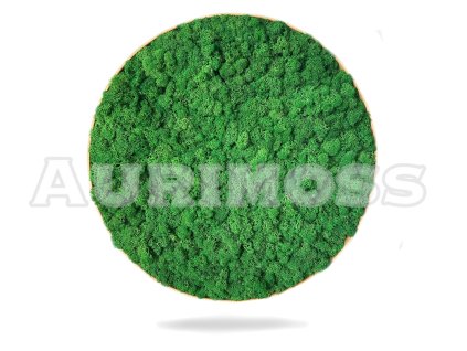 Kulatý mechový obraz s lišejníkem