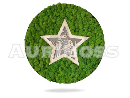 Okrúhly machový obraz s lišajníkom a hviezdou s podsvietením