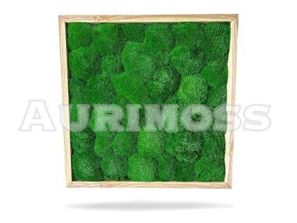 Machový obraz s kopcovitým machom