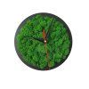Machové mini hodinky s lišajníkom nature green – Aurimoss