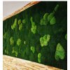 Mechová stěna z kopečkového a plochého mechu Lesní Panel