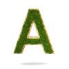 Detail lišajníka na machovom písmene – Aurimoss