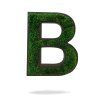 Machové písmená s mood moss na bielom pozadí – Aurimoss