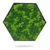 Dekoratívny machový obraz s lišajníkom Hexagon – Aurimoss