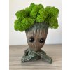Groot 1 – Dekoracyjna figurka drzewka ze stabilizowanym mchem
