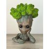 Groot 2 – dekoratívna figúrka stromčeka so stabilizovaným machom – Aurimoss