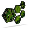 Set aus Moos-Wanduhren und Moosbildern – Hexagone