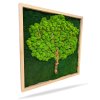 Moos- und Holzbaum Grüne Seele