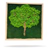 Moos- und Holzbaum Grüne Seele