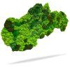 Mapa Slovenska z kopcovitého machu na stene – Aurimoss