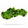 Machový obraz mapa Slovenska na svetlom pozadí – Aurimoss