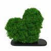 Pohľad zboku na machovú dekoráciu srdce – Aurimoss