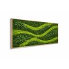 Machový hranatý obraz s mixom machov – Lesné vlnobitie bokom