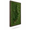 Machový obraz Aurimoss – Machová cesta (s kôrou a rôznymi druhmi machu) bokom