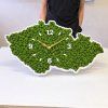 Machové hodiny Mapa Česka zavesené na stene v interiéri – Aurimoss