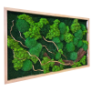 Moosbild mit LED-Beleuchtung und Holz – Chloris