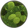 Okrągły obraz z mchu – mix mchów – Naturalna równowaga 2