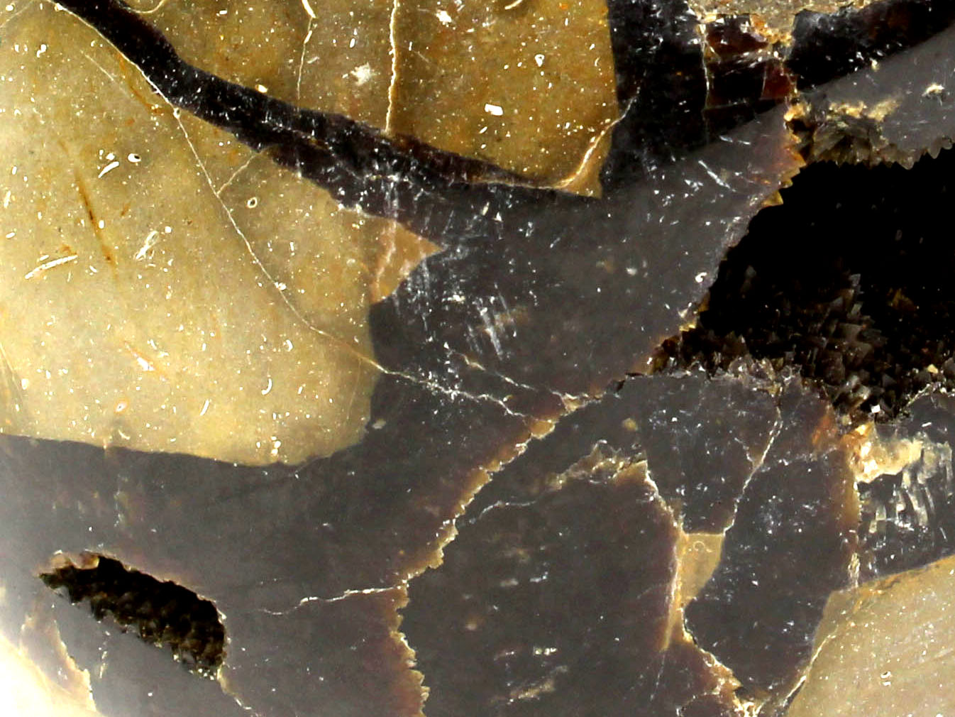 Septárie dračí vejce – detail