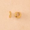 1 1 022 20C Anilla Mini Earrings ok 71dbe167 0ca6 4473 a2ba 3d01f2886c7b