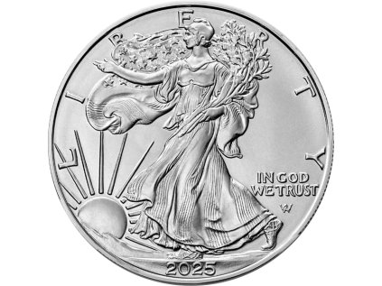 1 oz american eagle silver coin 2025 lh0 1e1a675d36f497aa44ff8754e1a22022 2x