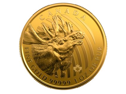 Zlatá investičná minca Call of the Wild | Moose | 1 Oz | 2019