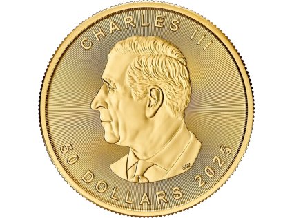 Obrázek 1