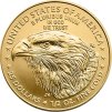 1 2 oz american eagle gold coin 2025 3k5 173a8487d40fb8f2fa4e9ec99a513650 2x