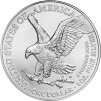 1 oz american eagle silver coin 2025 a68 a1dc22a27060dd7945cd9567785e5104 2x
