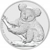 Koala 2009