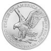 Stříbrná investiční mince American Eagle 1 Oz | nový design různé ročníky 2021 a novější