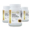 AURUS FAT BURNER3