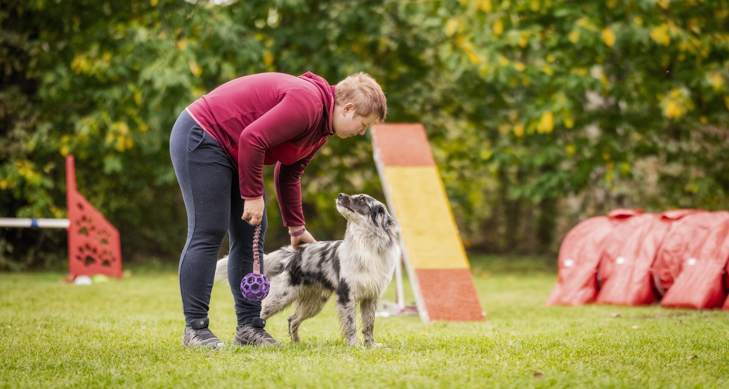 5 dôvodov, prečo pes na tréningu nespolupracuje