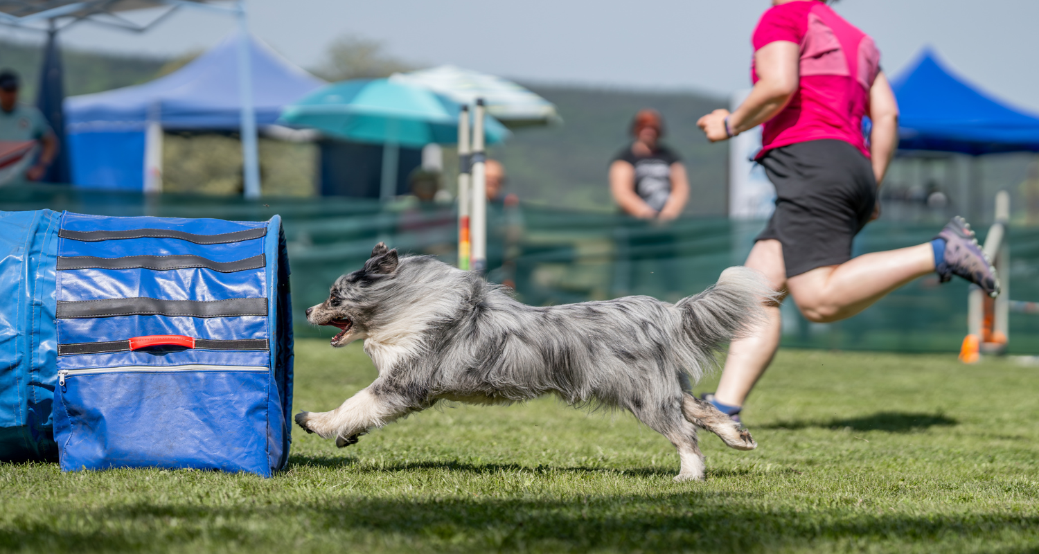 Ideme na tréning! Čo by nemalo chýbať v taške?