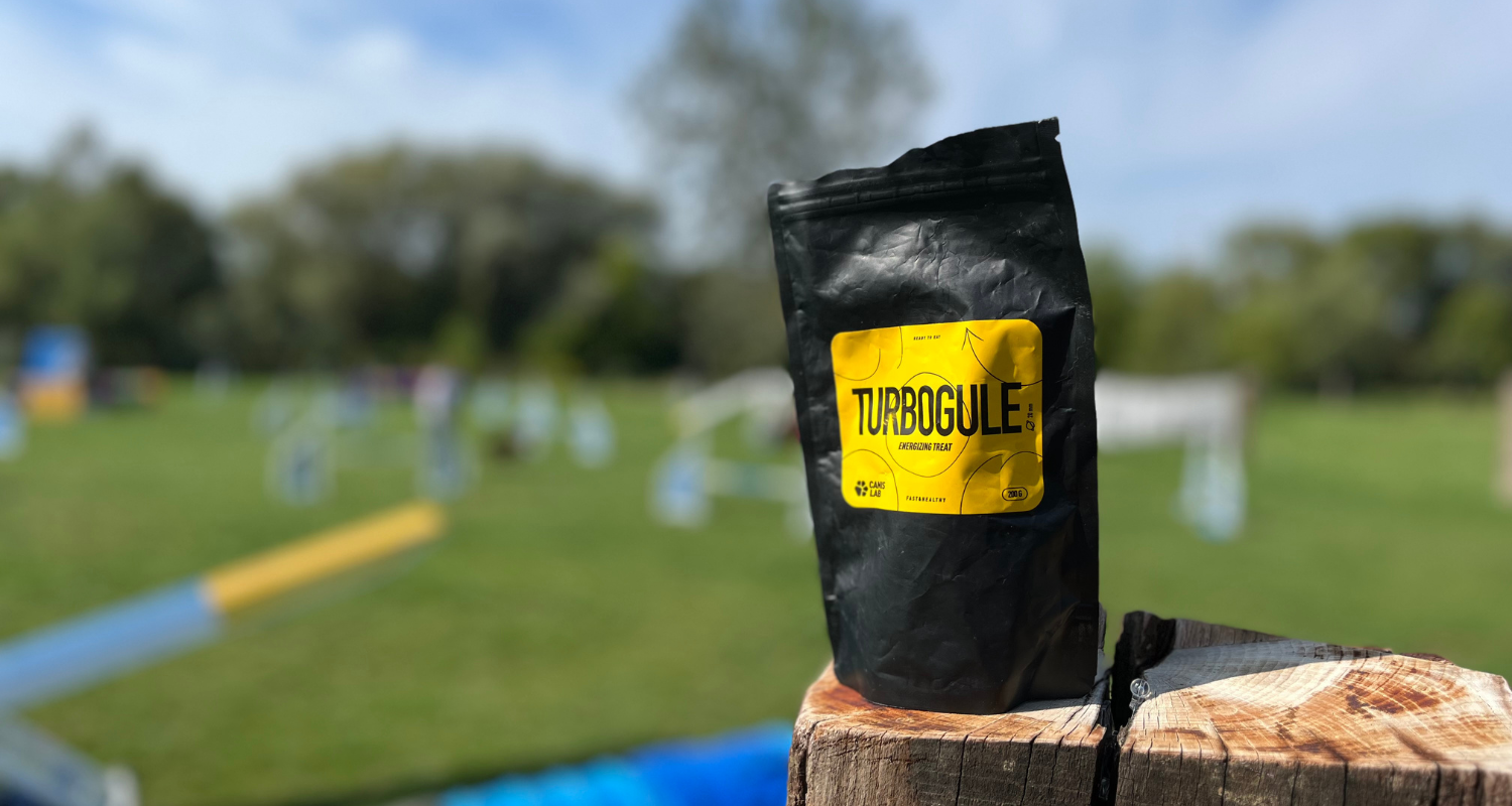 Výbava na agility tréning