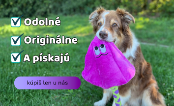 pes sa hrá s obľúbenou hračkou odolonou plyšovou rajou