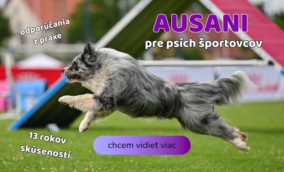 ausani je eshop ktorý sa zameriava na aktívne a športujúce psy